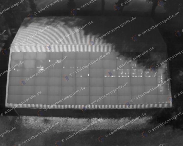 Thermogramm einer PV-Anlage mit Baumverschattung und einzelnen Hotspots auf den Solarmodulen